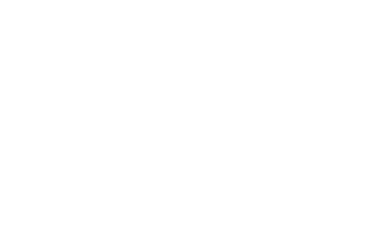 Sydney Lane logo